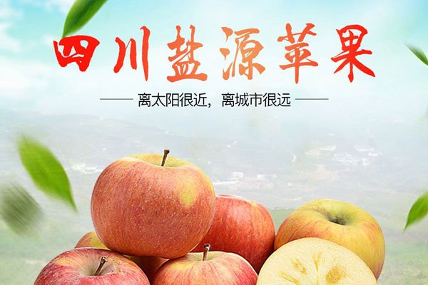 ��ƻ���Ĺ�Ч������ �������Ĳ�ƻ����