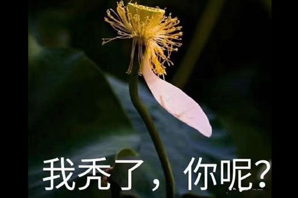 �ҿ�����ʲô��˼ ͨ��г����͸¶�Լ�������