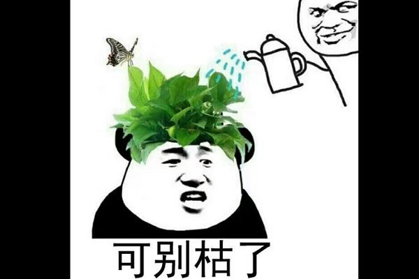 我枯了是什么意思通过谐音梗透露自己的心情