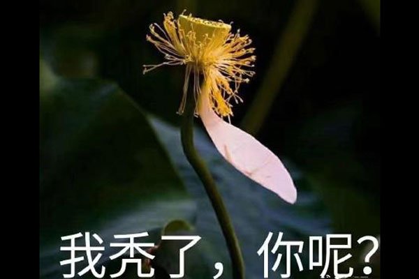 �ҿ������ر������ʲô��˼ �Ե�٩Ϊ����˵��
