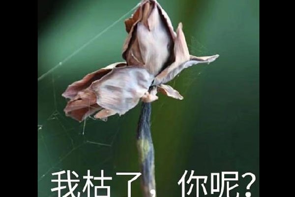 �ҿ������ر������ʲô��˼ �Ե�٩Ϊ����˵��