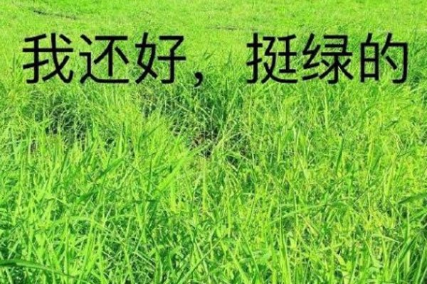 �ҿ������ر������ʲô��˼ �Ե�٩Ϊ����˵��