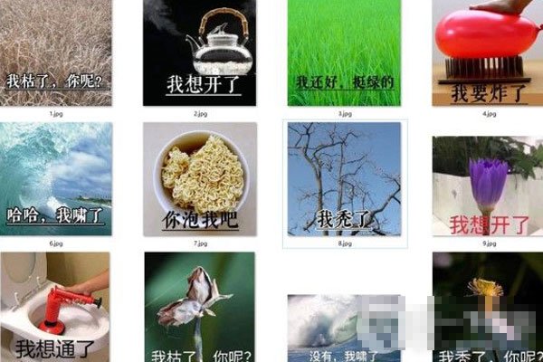 �ҿ������ر������ʲô��˼ �Ե�٩Ϊ����˵��