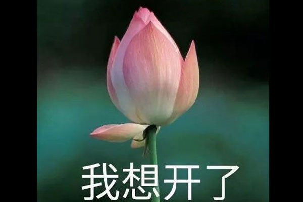 �ҿ������ر������ʲô��˼ �Ե�٩Ϊ����˵��
