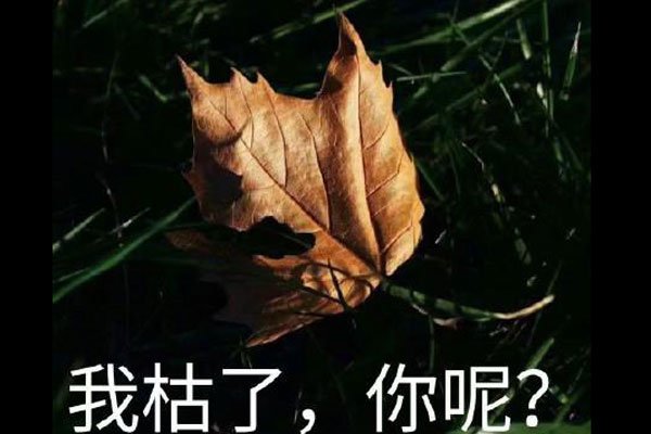 �ҿ������ر������ʲô��˼ �Ե�٩Ϊ����˵��