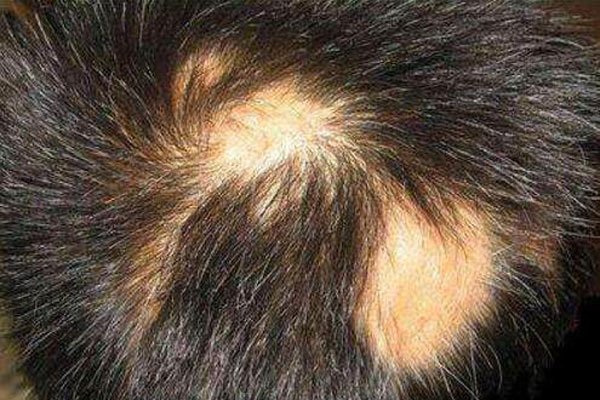 ��䴫˵�Ĺ���ͷ����ô���� ���Ƕ���������