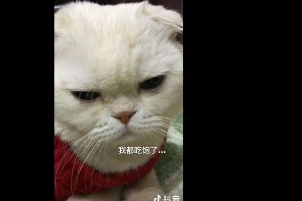 ����������Ϊʲô��ʧ�ڶ��� ������ô��Ӧ��
