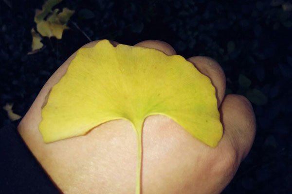 �ν�����������?������ ��ɱ�¼�������ô����