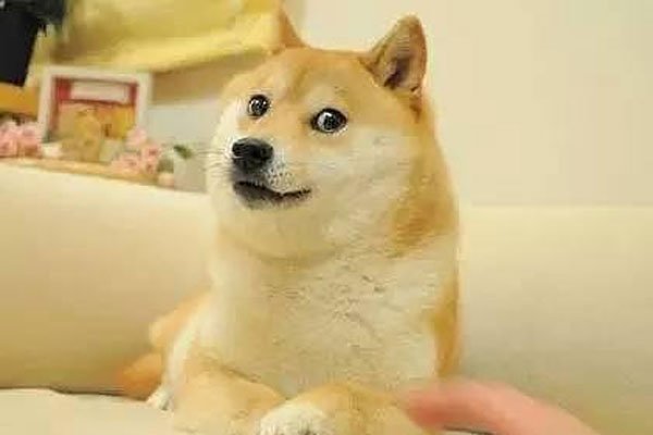 ��ͷ����ʲô��˼ ��һ��������˺���Ȥ�ĸо�