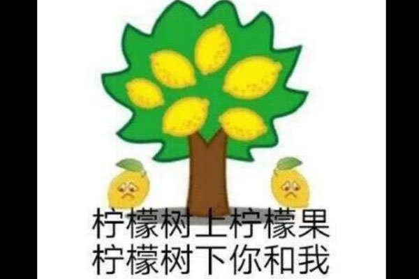 ���ʾ���ʲô��ʲô��˼ ��ر��������Ĳ����ֺ�