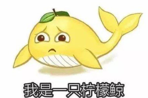 ���ʾ���ʲô��ʲô��˼ ��ر��������Ĳ����ֺ�