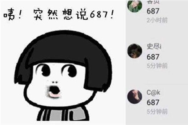 687������ʲô��˼ ������һ�ֽ��ò���