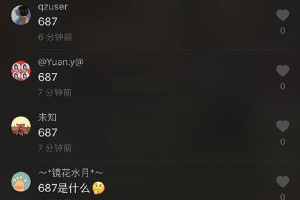 687������ʲô��˼ ������һ�ֽ��ò���