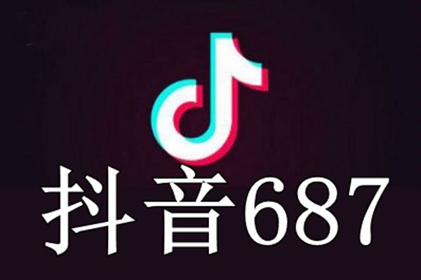 687������ʲô��˼ ������һ�ֽ��ò���