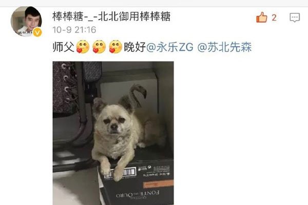 �ձ���ɭ���ܲ�����ϲ���Ĳ����� ����������ʲô��
