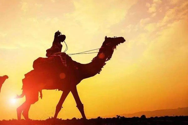 ż����ɳĮŮ��˭���� �ͻ�������ʲô��ϵ