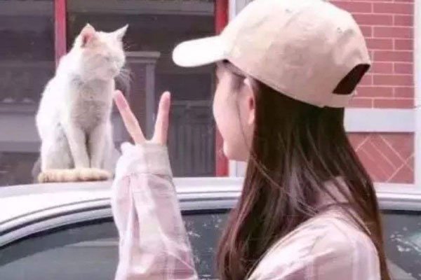 ������������� ����ˣ����ߺ�����170����