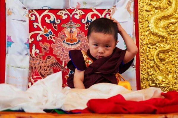 转世灵童有科学依据吗(ma) 这(zhè)是一种藏传佛教的说法