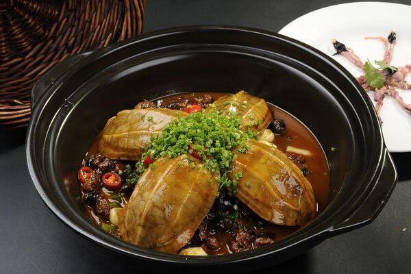 乌龟汤的功效与作用一起煲汤的材料有哪些