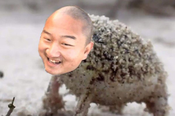 һ������giaogiao��ʲô��˼ ���Ժ���giao��֮��