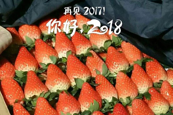 13579��ʲô����˼ ��Ů��б��⼸�����ָ�������
