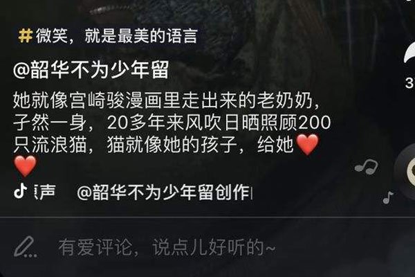 ������Ƶ��������ʲô��˼ �����Ĳ�����ʲô