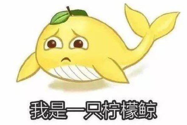 ���ʾ���������������� ��Ľ����ף�����˵���������