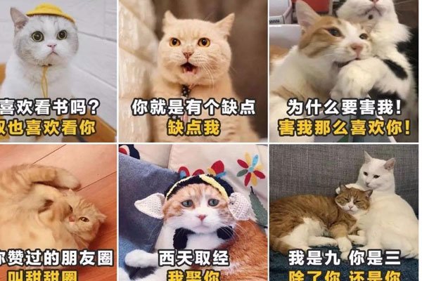 ��ζ�黰��ȫ����Ů���� �����еĸ�����Ȥ������