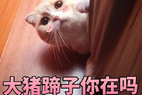 大猪蹄子形容男人是什么意思 吐槽男生不解风情