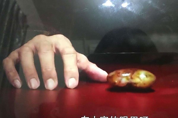 �������ʯͷ����ô���� �������趼��ǹ��