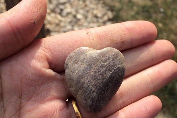 �������ʯͷ����ô���� �������趼��ǹ��