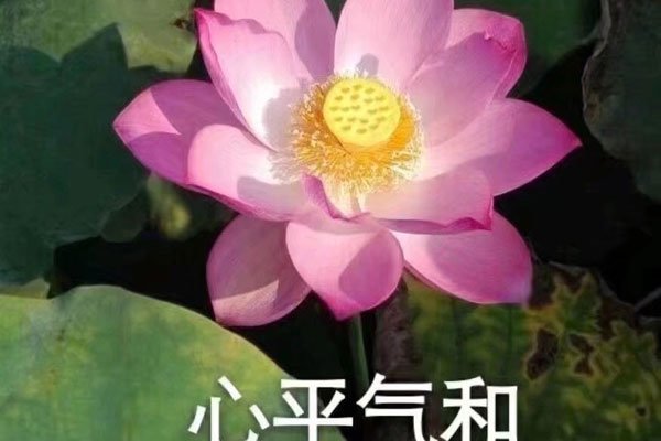 ����С����������ԭ������ ���Ե��˾���ס