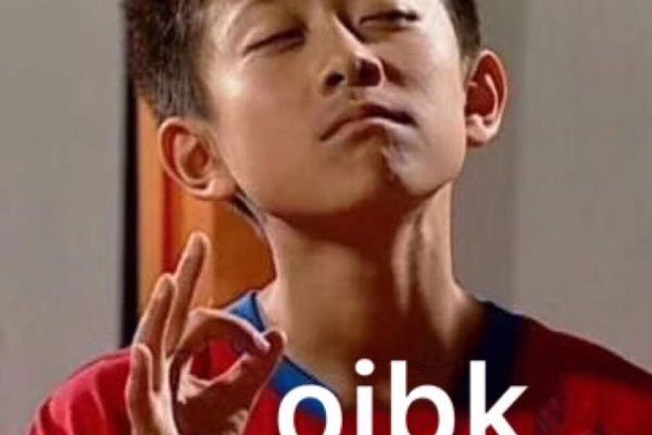 ojbk��ʲô��˼ �ڸ��ֱ�����г���