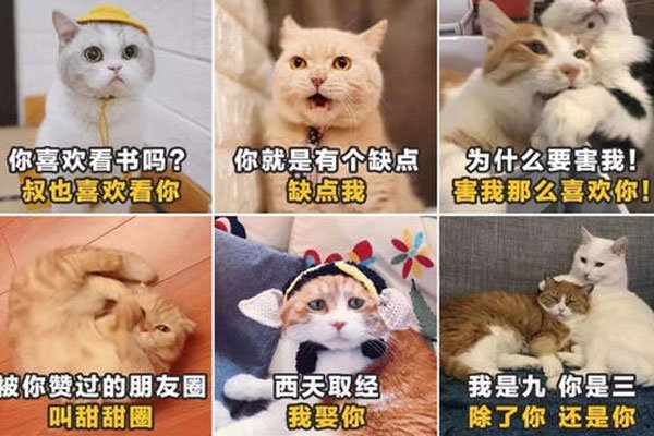 ��ζ�黰һ��һ��ر����� �����һ����������