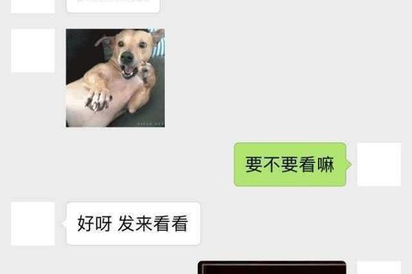 ���������·���� ����������Ҫ����ʲô