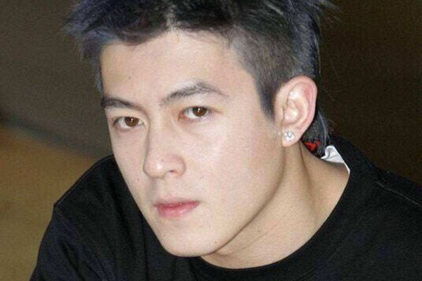 陈冠希当年的电脑的图片有哪些人 完整1300张照片是真的吗