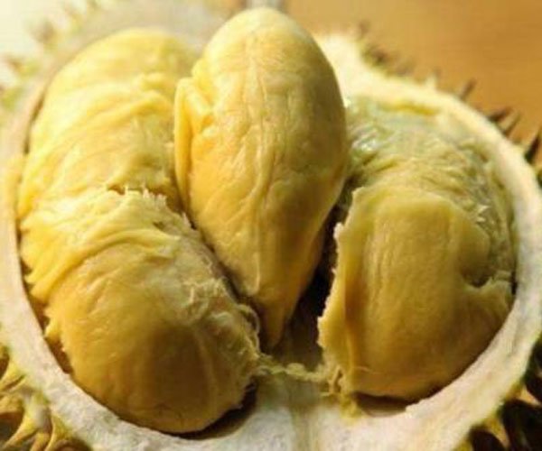 �������ͷ���˻��ܳ��� ���˹����ûʲô�ص�