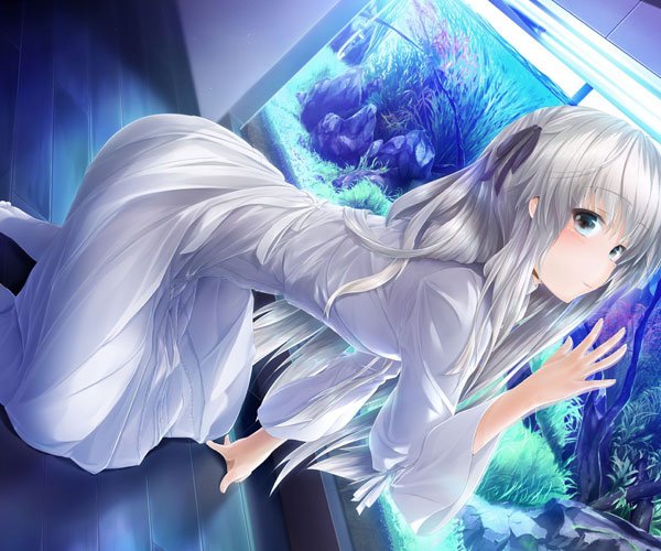 Ե֮���ļ��������� ���ǵľ�ͷ̫��